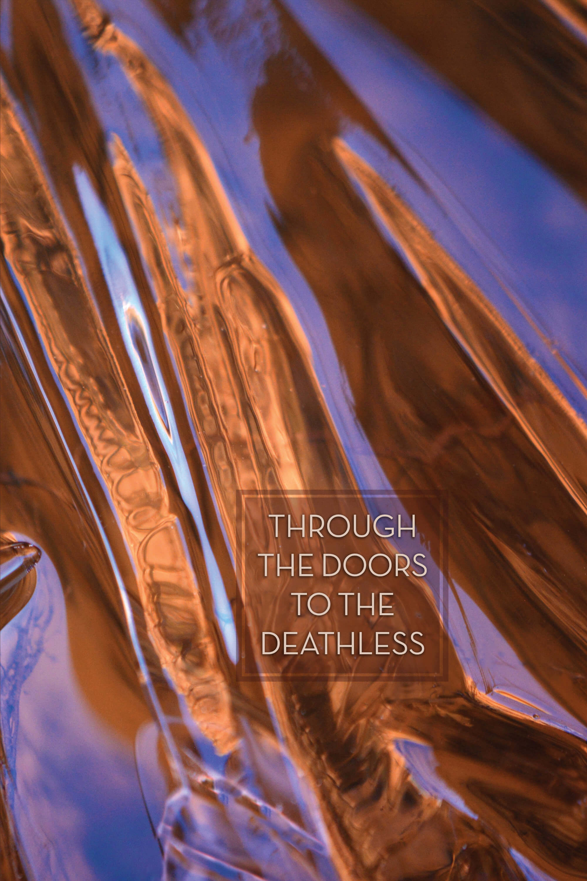 Book cover of Through the Doors to the Deathless : Awakening while Listening to the Dhamma