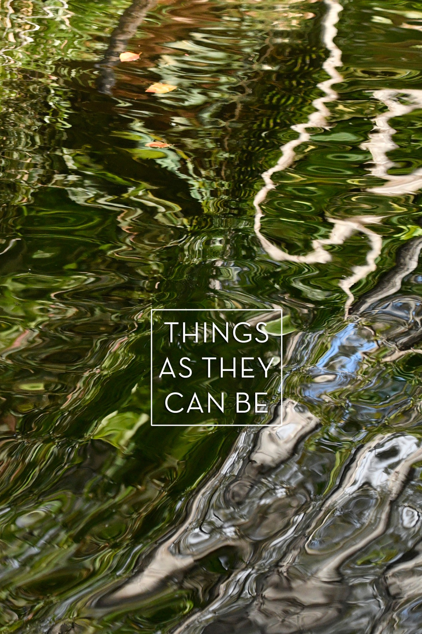 Book cover of Things as They Can Be