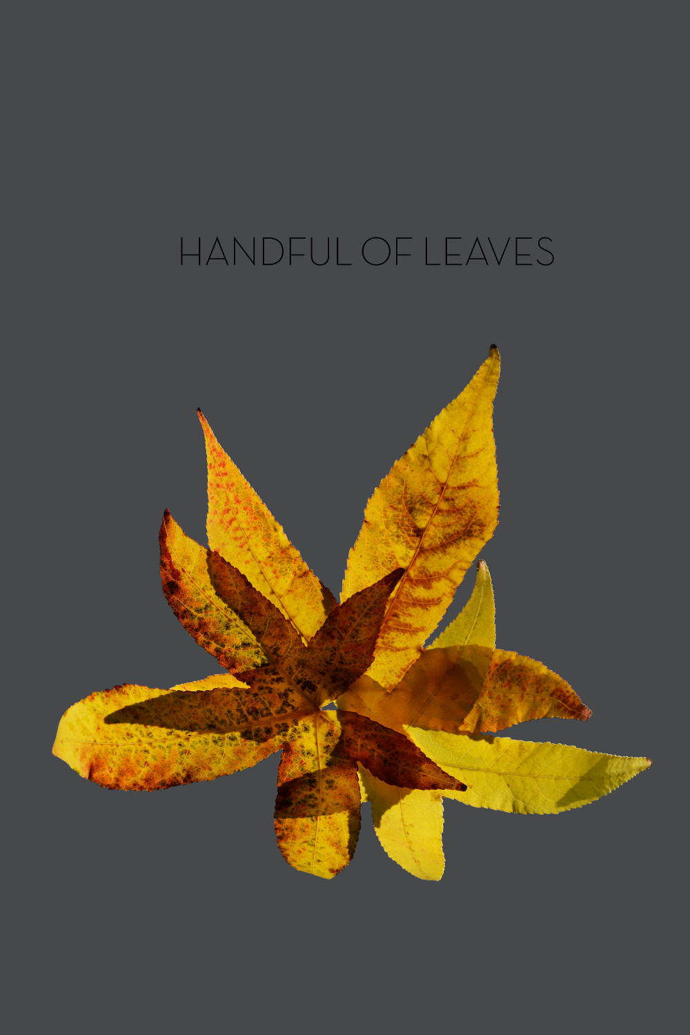 Book cover of Handful of Leaves